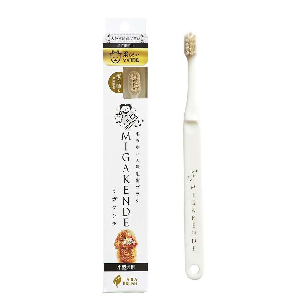 MIGAKENDE齒敏樂-寵物天然軟毛牙刷(基礎超軟型-山羊毛）