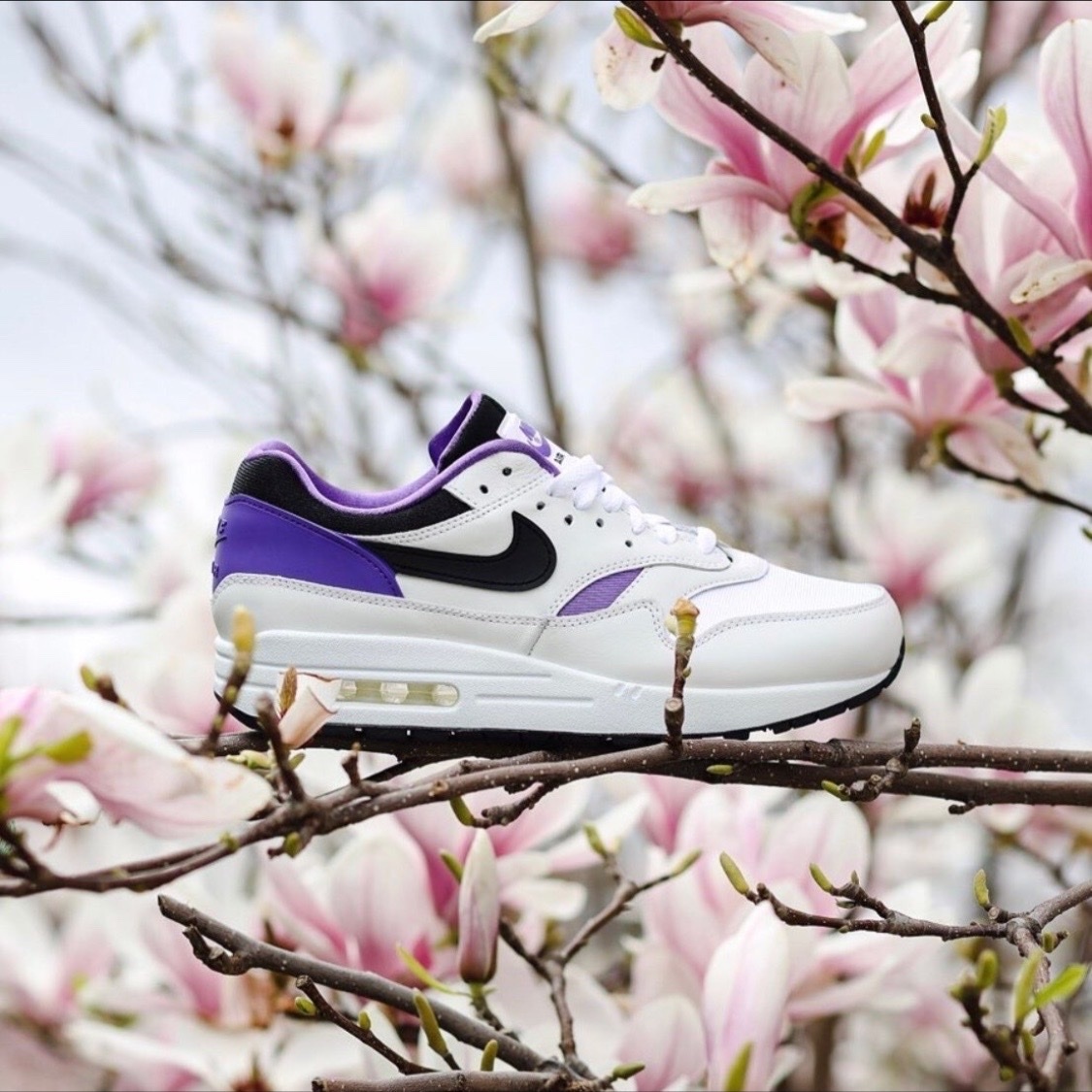 Nike Air Max 1 Dan Ch.1 Pack 白紫 黑鉤 氣墊 復古 AR3863-101