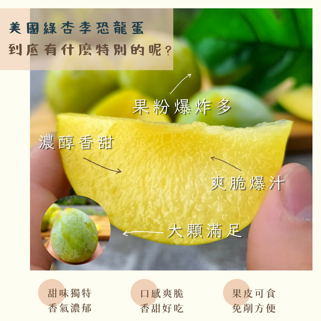 美國綠杏李恐龍蛋