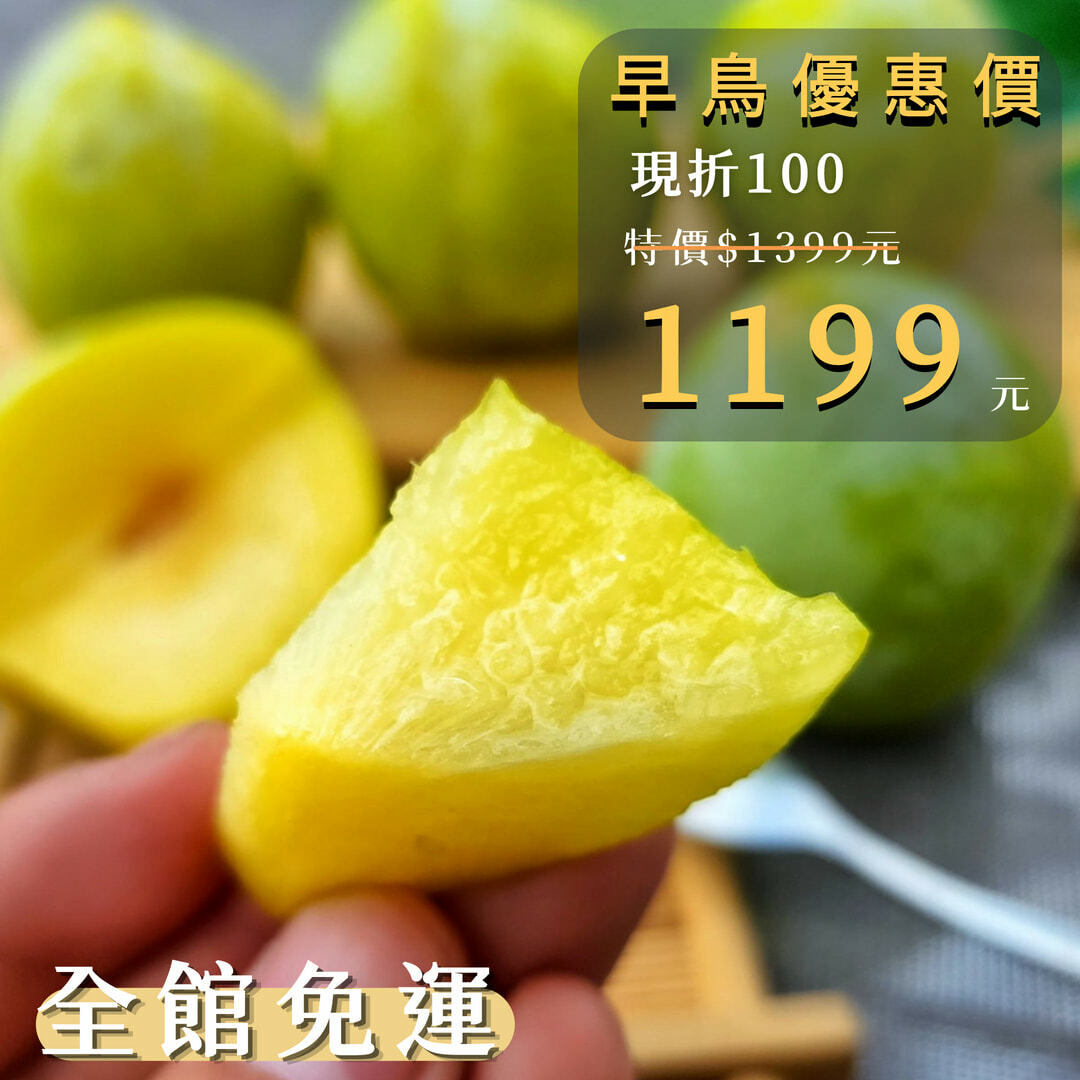 美國綠杏李恐龍蛋