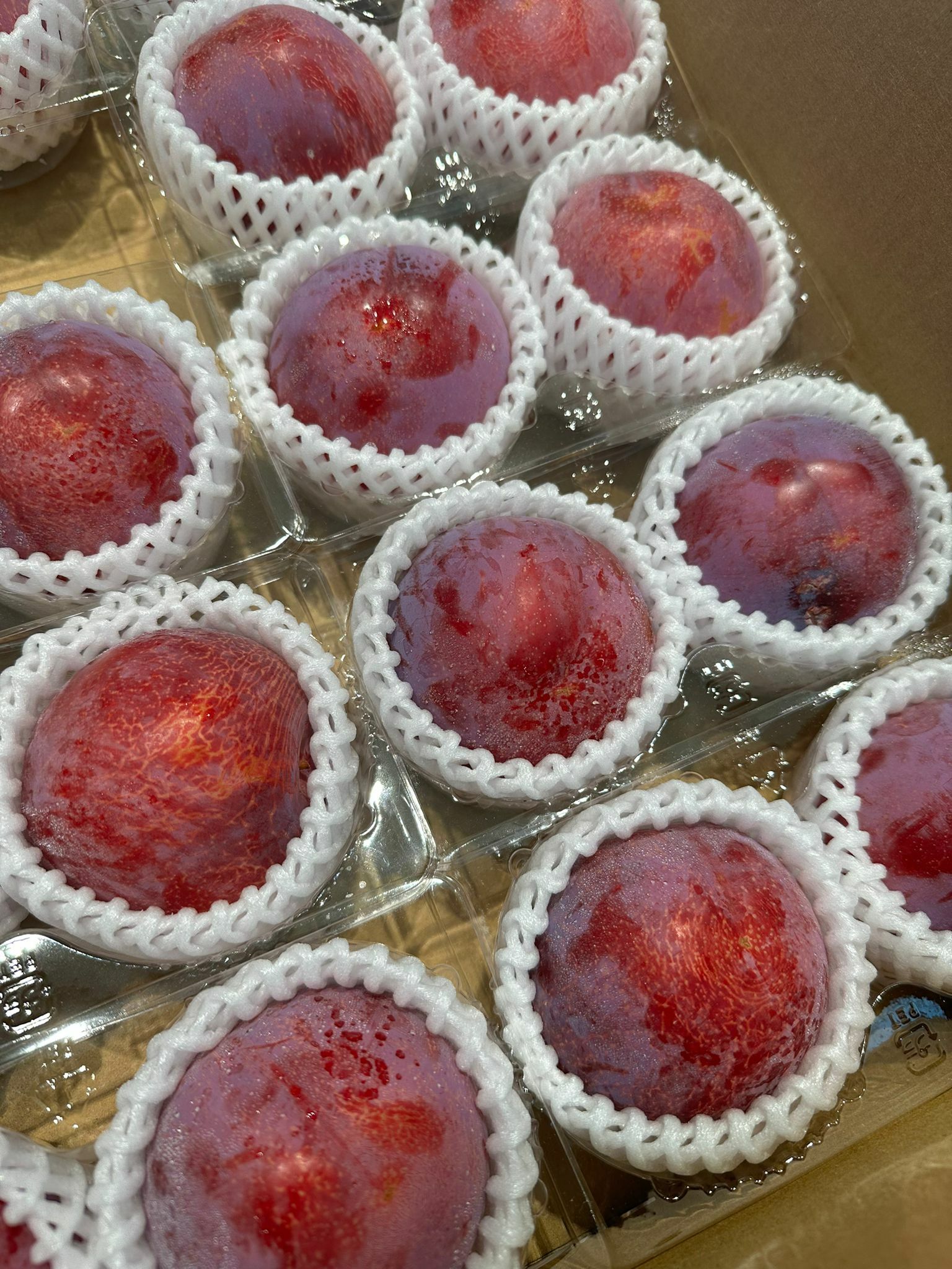 Bless-fruit - 日本貴陽梨