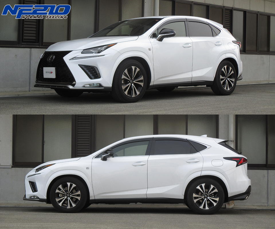 TANABE NF210 短彈簧組 LEXUS NX200T/NX300 F SPORT 2015-2021