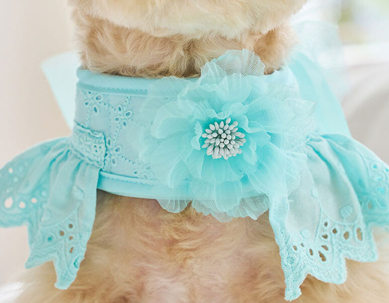 天使花胸針 (蒂芬尼藍 花 ) - It’s sunny outside