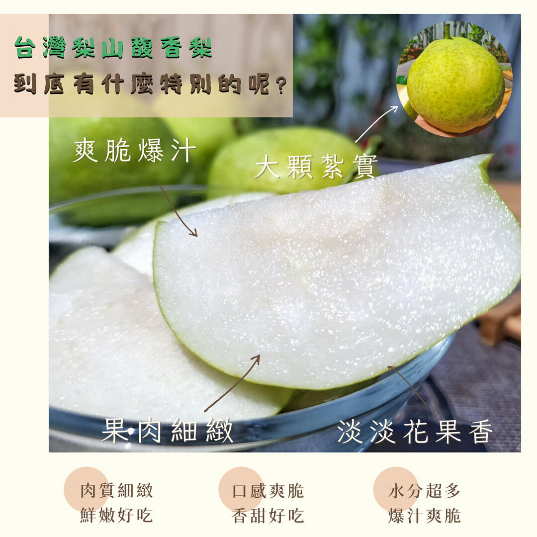 台灣梨山馥香水梨