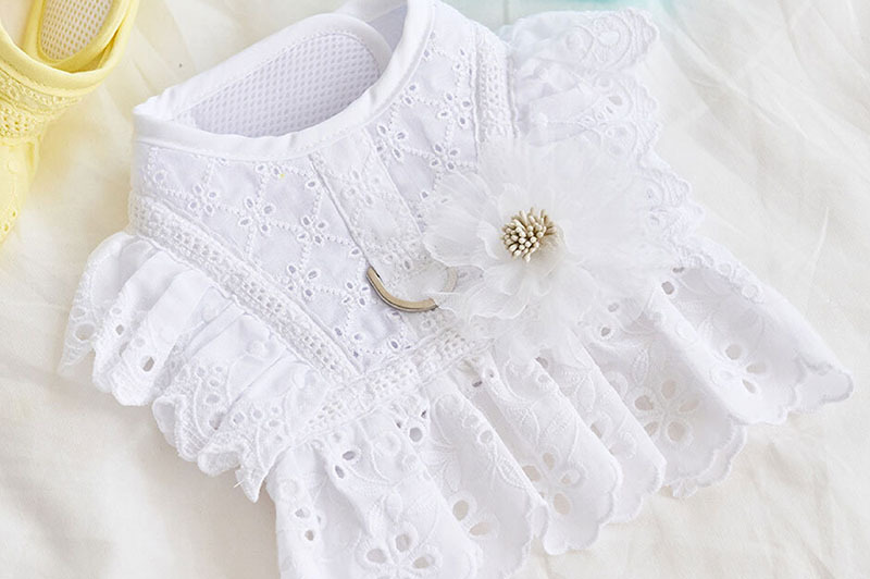 天使花胸針 (白花) - It’s sunny outside