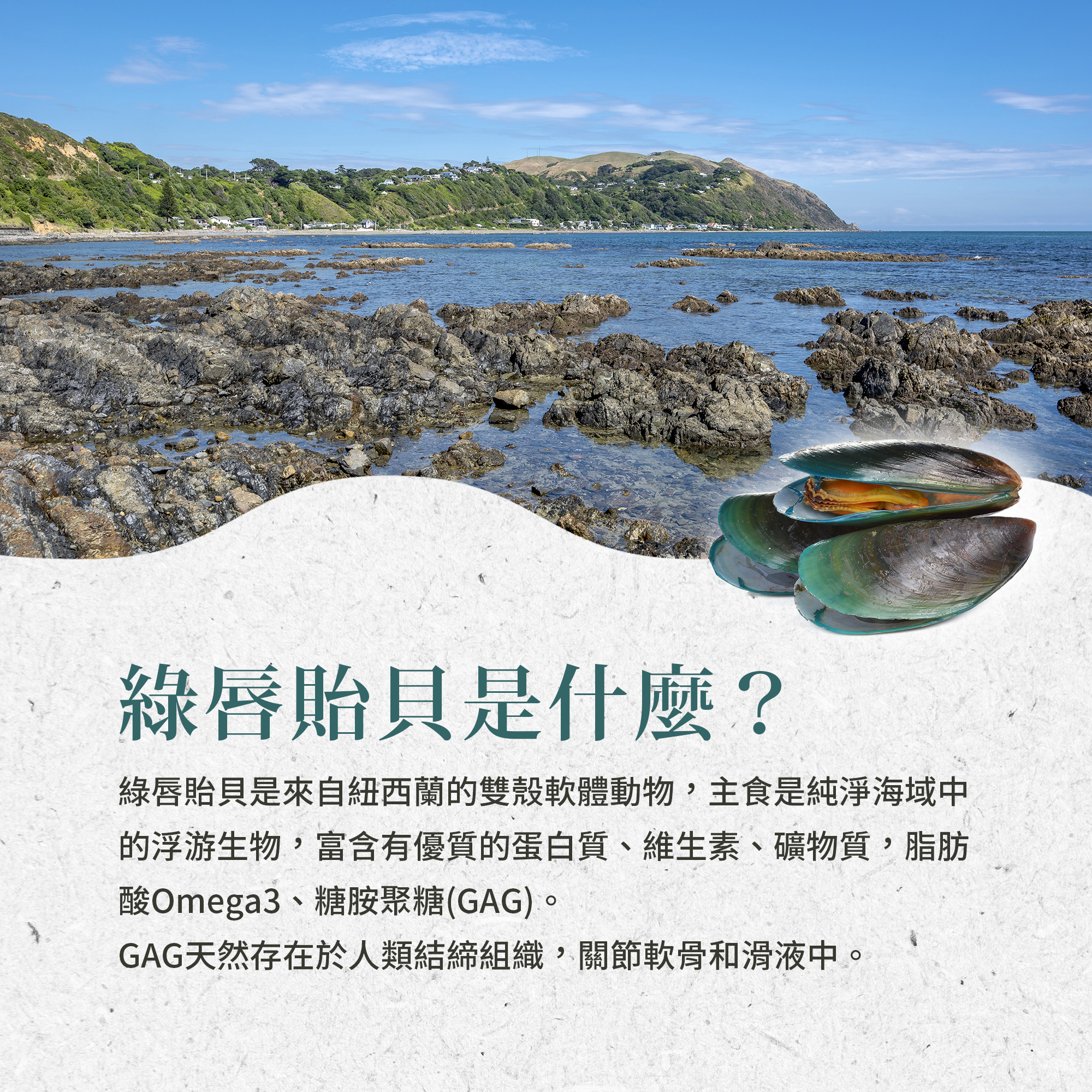 綠唇貽貝有豐富的GAG，GAG主要存在人體的結締組織、關節軟骨、滑液中