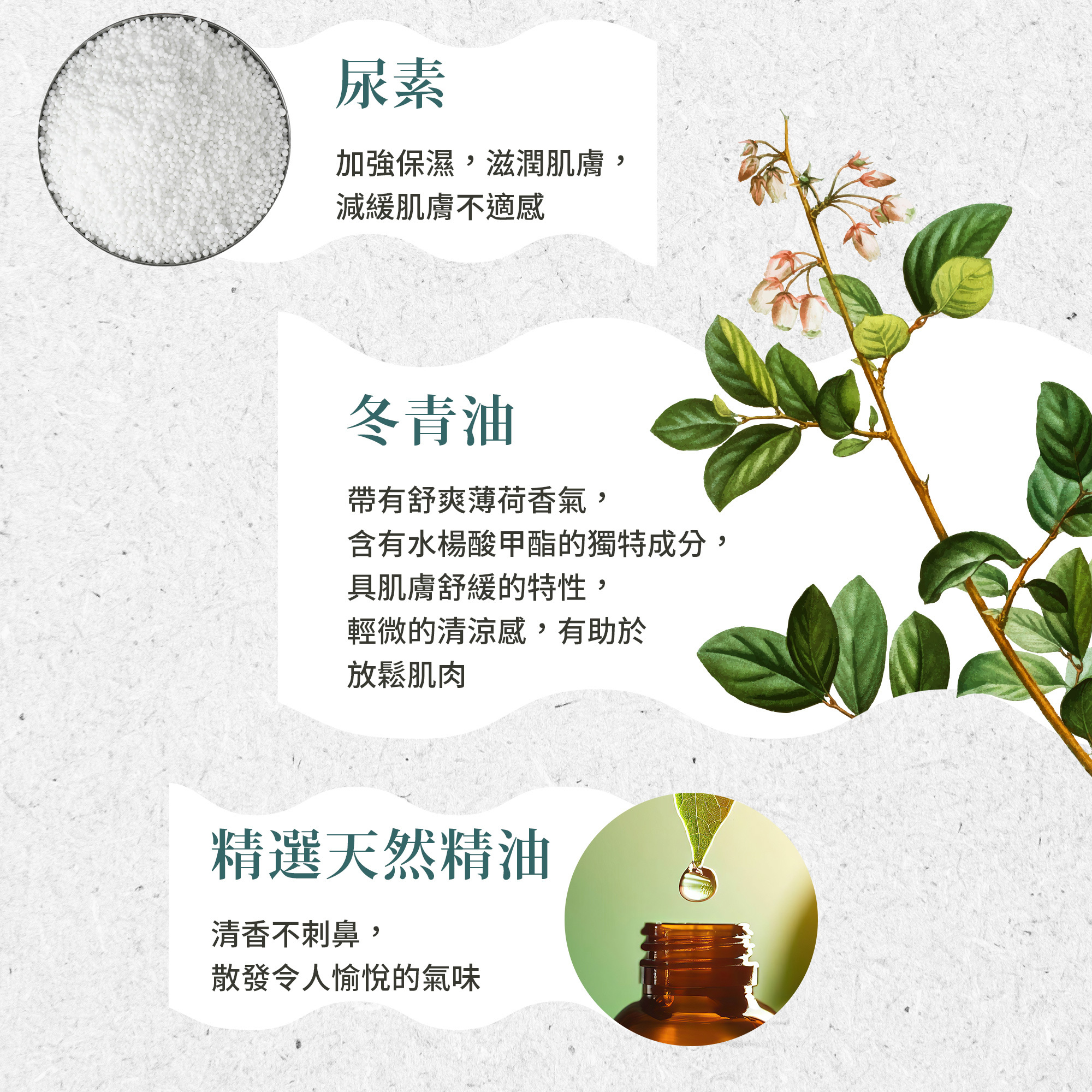 聖伯納德綠脣貽貝按摩膏含有尿素、冬青油、天然的精油成分