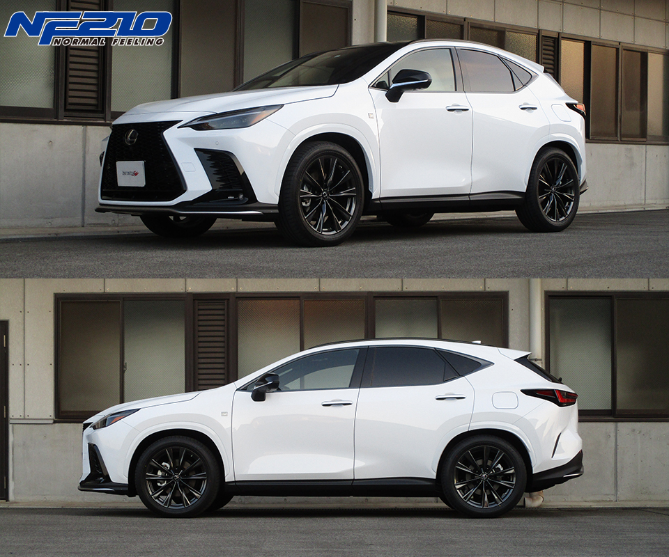 TANABE NF210 短彈簧組 LEXUS NX350 F SPORT 2022-