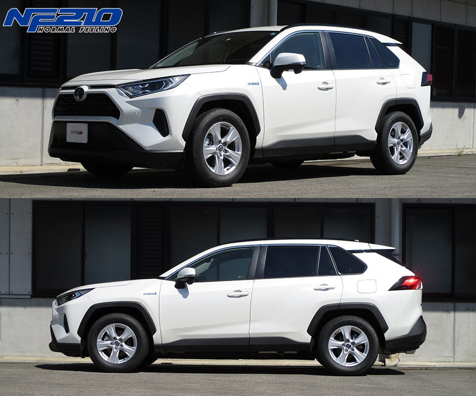 TANABE NF210 短彈簧組 TOYOTA RAV4 HYBRID 2019-