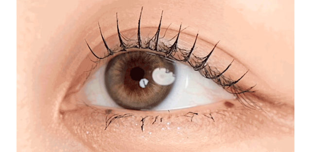 [日拋] Hapa Kristin Bittersweet Kristin 1 Day Olive Brown 橄欖棕 |每盒10片