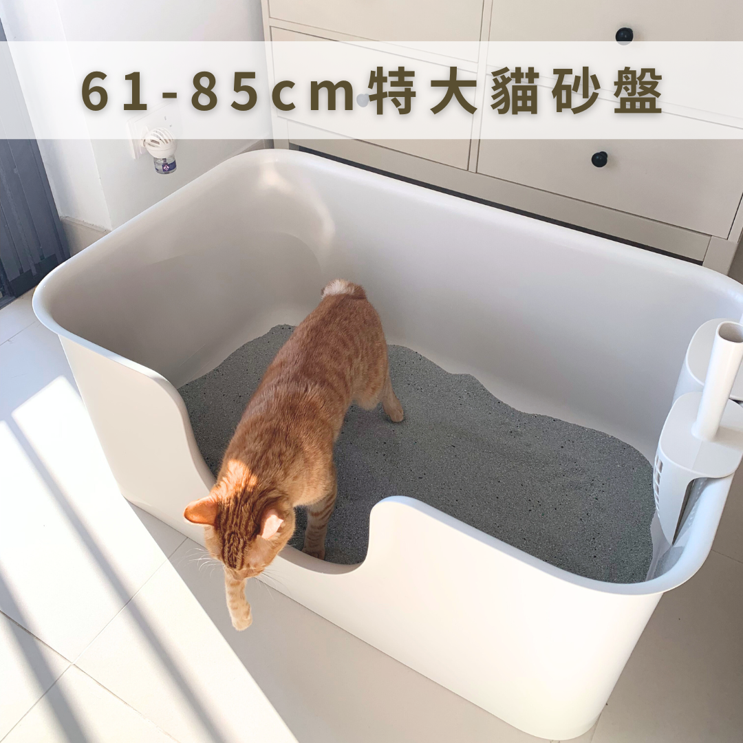 貓砂盆-Duit-貓用品
