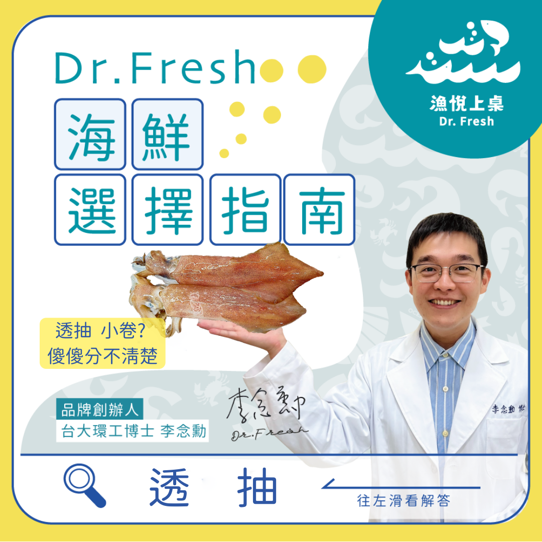 漁悅上桌 Dr. Fresh 海鮮選擇指南 透抽 小卷 中卷 花枝 魷魚