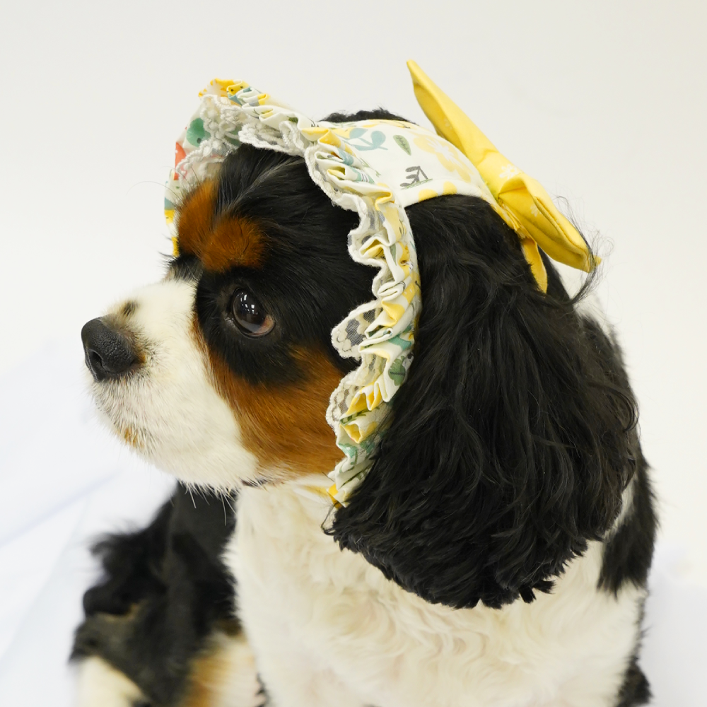 Assorted Summer Floral Pattern Lady Hat