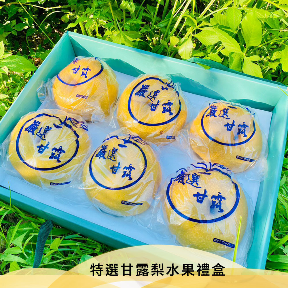 預購【09月16日 (三)】陸續發貨💮三峽區農會【特選甘露梨】〈單顆&禮盒裝〉