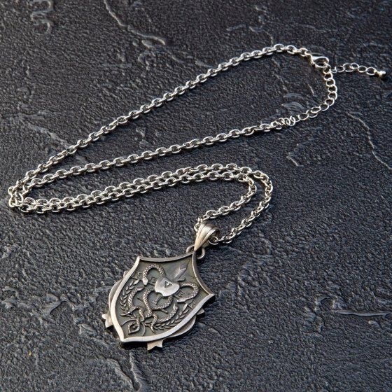 Pbandai 預訂2024/1月 仮面ライダーW　NECRO OVER（ネクロオーバー） silver925　ネックレス 頸鏈