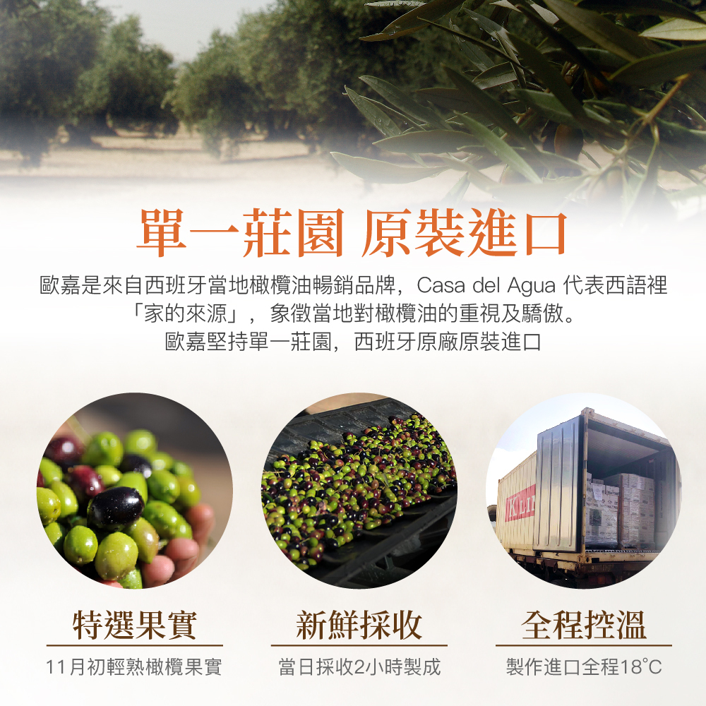 冷壓初榨橄欖油推薦 | 巴薩米克醋 | 義大利醋巴薩米克