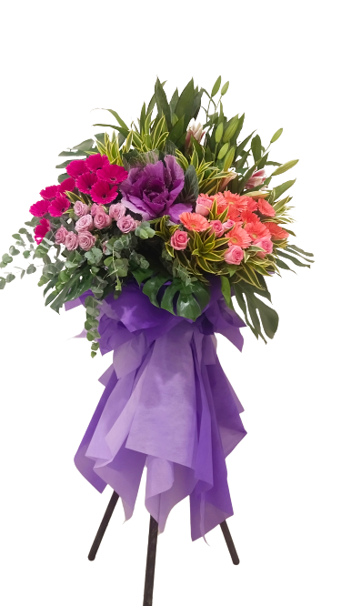 Grand Opening - GO21