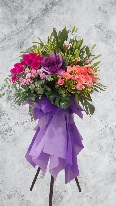 Grand Opening - GO21