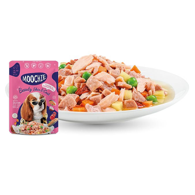 Moochie Superfood Beauty Skin & Coat Formula With Salmon Wet Dog Food (85gx12pcs)