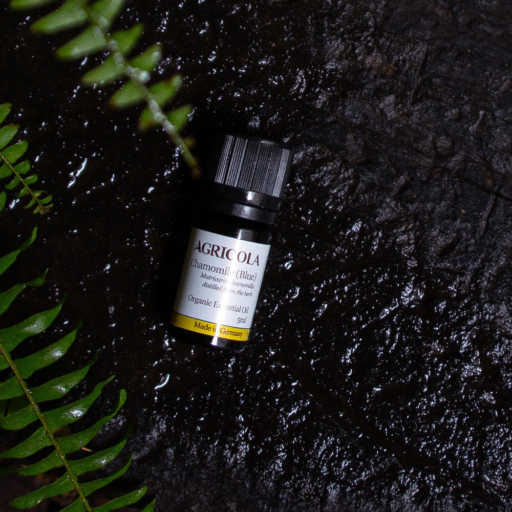 有機德國洋甘菊精油–5ml