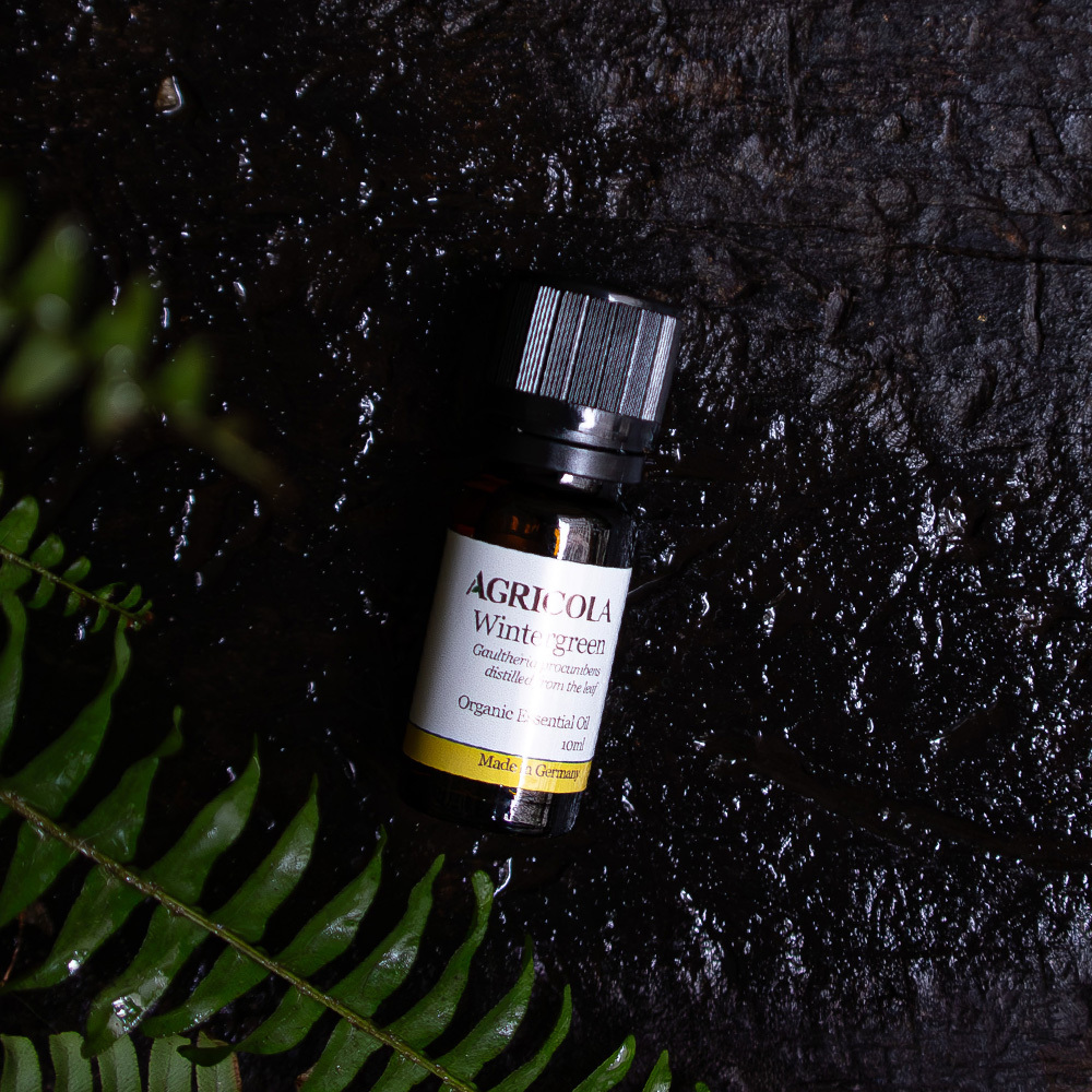 有機冬青（白株樹）精油–10ml
