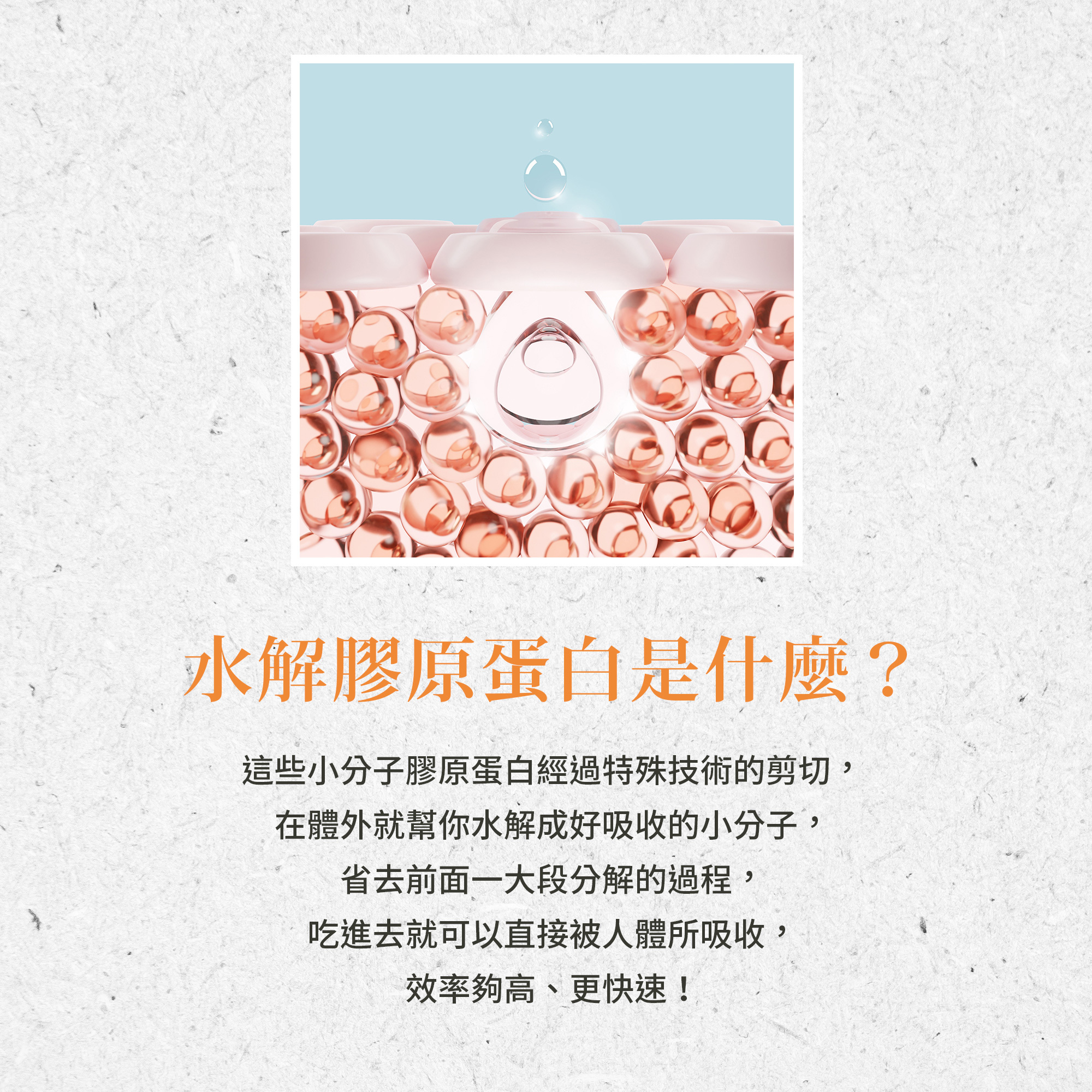 水解膠原蛋白是什麼?這些小分子膠原蛋白經過特殊技術的剪切,在體外就幫你水解成好吸收的小分子,省去前面一大段分解過程,可以直接被人體所吸收,達到高效率、更快速