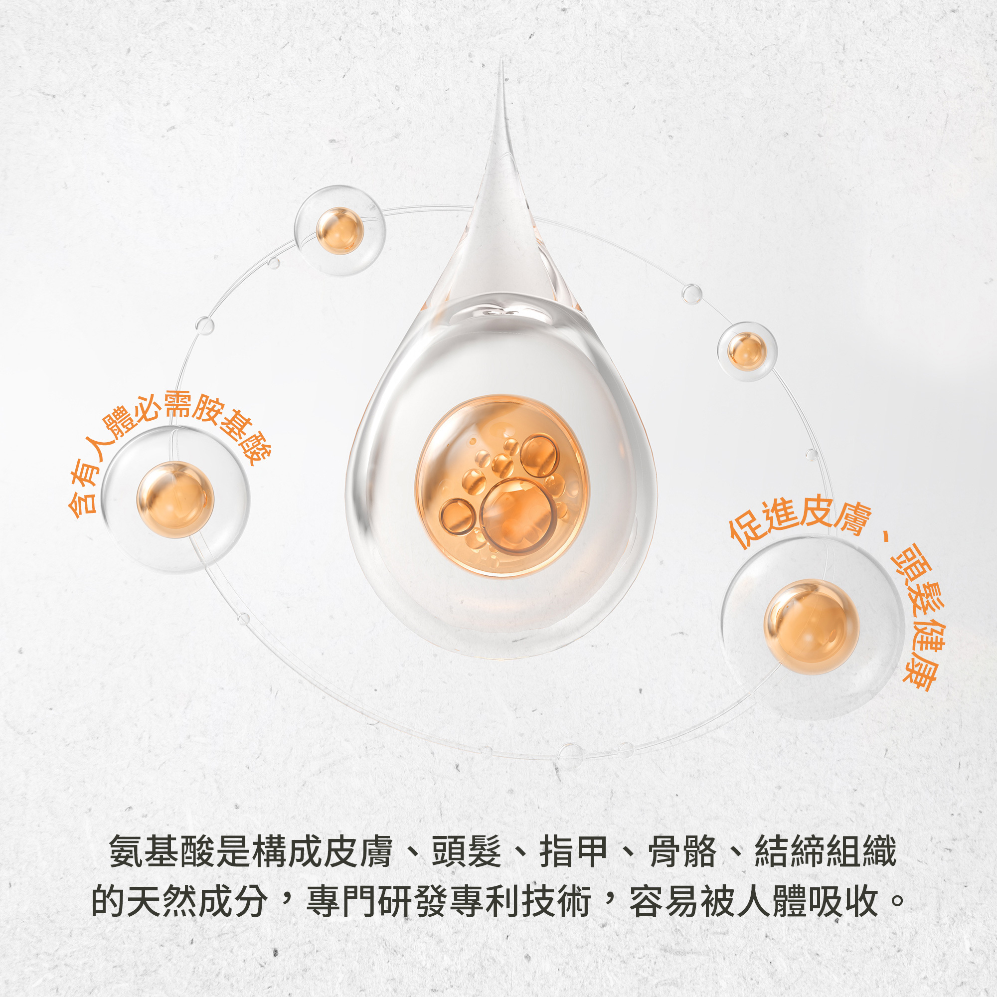 聖伯納德黃金級水解膠原蛋白粉含有人體必需胺基酸,能促進皮膚、頭髮健康