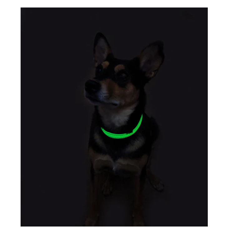 UV Paqlite Dog Collar 夜光狗帶