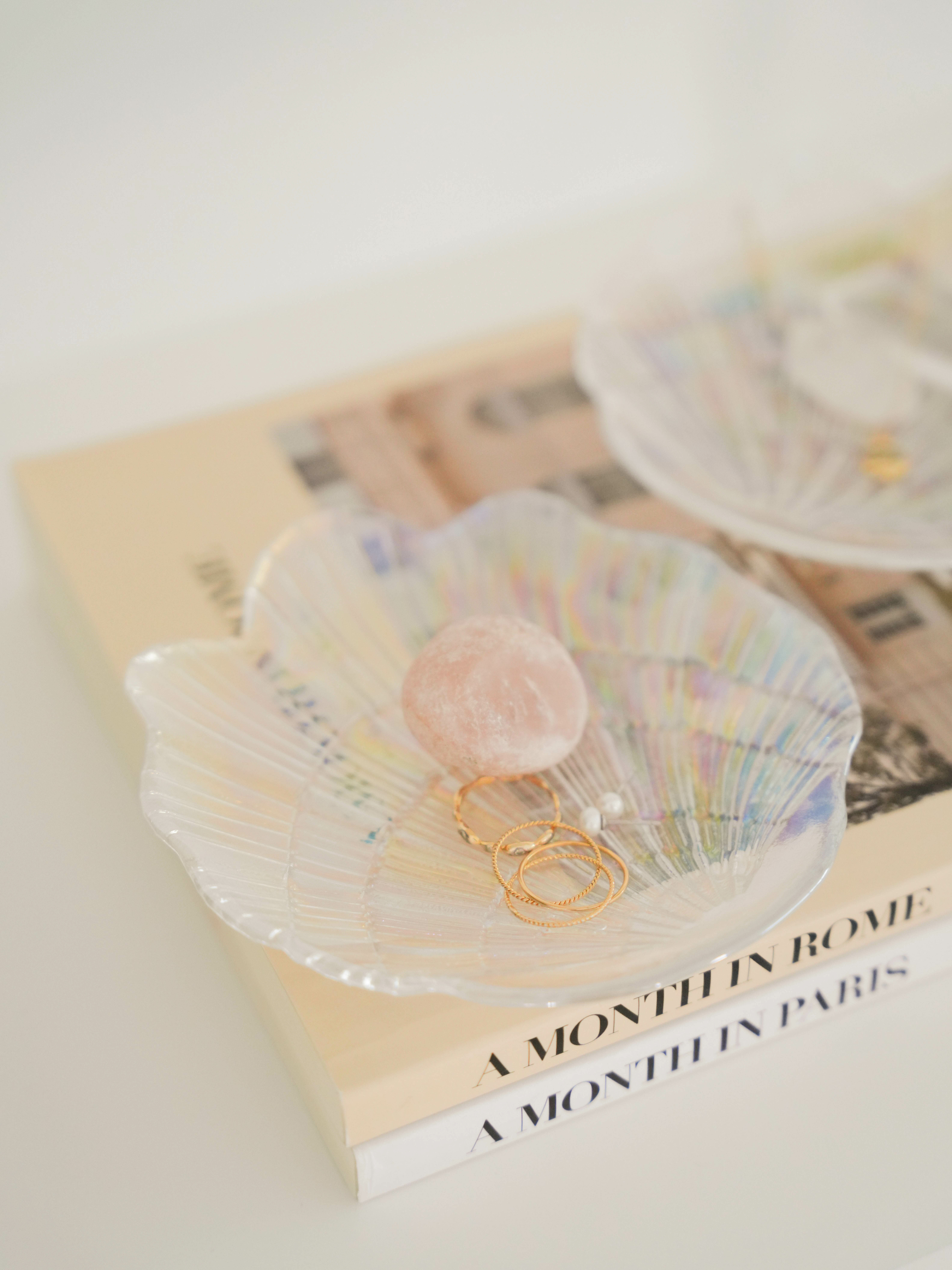 透明貝殼收納盤（一入/兩入）