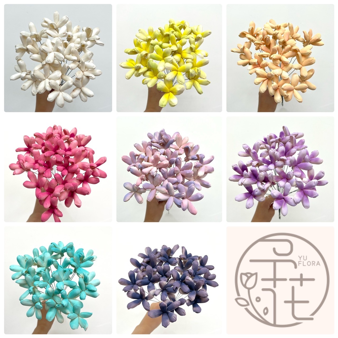 印度索拉花 茉莉花 6CM <十支一把>