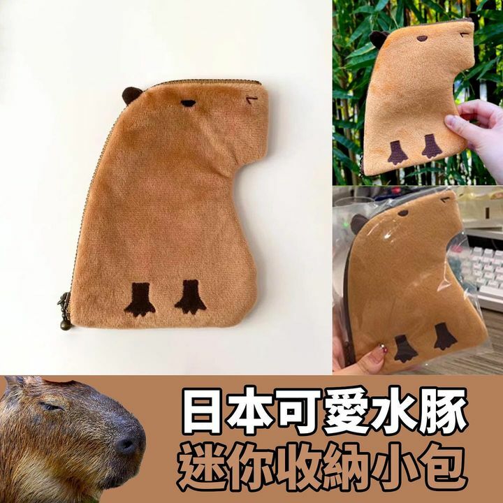 日本可愛水豚迷你收納小包