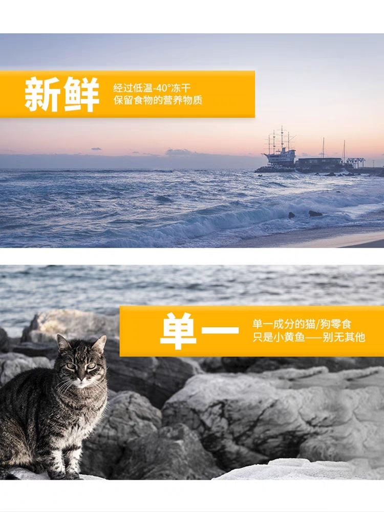 FISHERMAN PET 冻干小黄鱼 35G