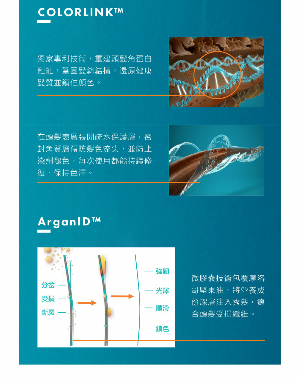 摩洛哥優油評價到底好不好？網紅推薦原因究竟是..懶人包詳細介紹