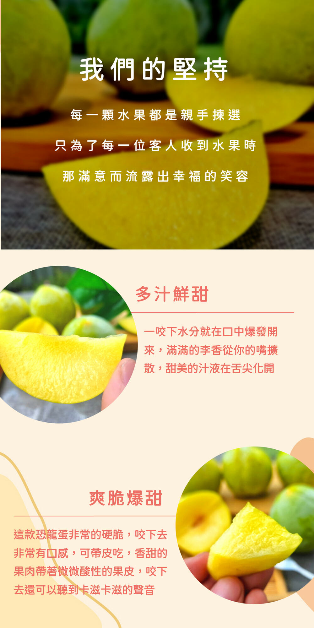 中秋水果禮盒,李子禮盒