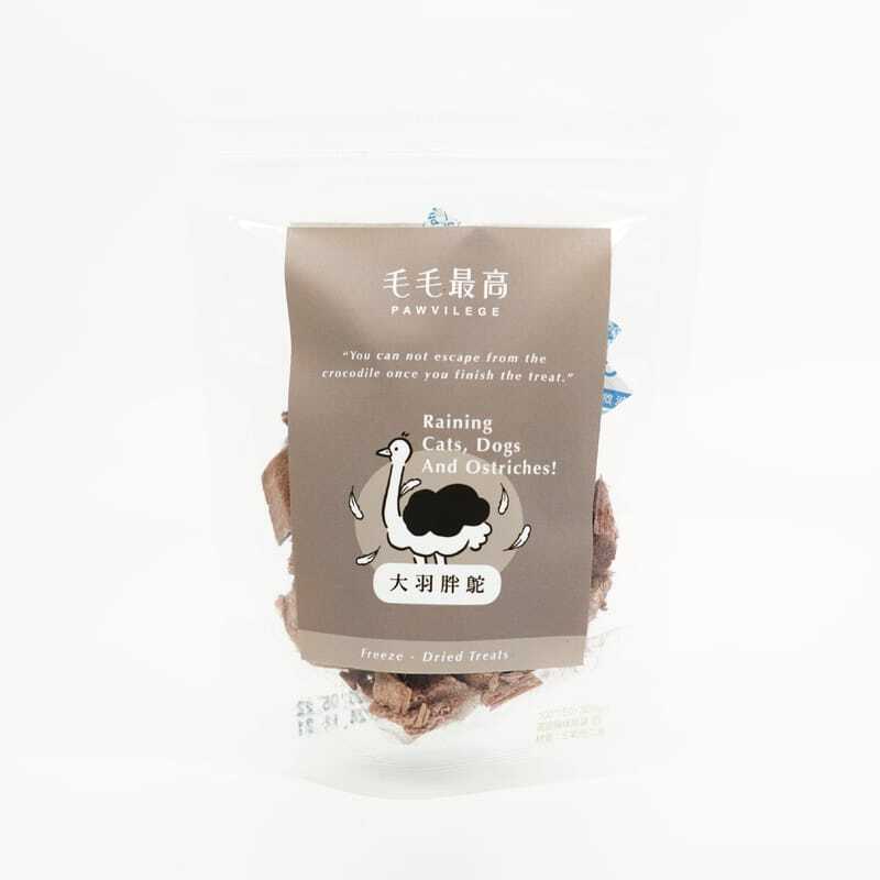 【PAWVILEGE毛毛最高】大羽胖鴕