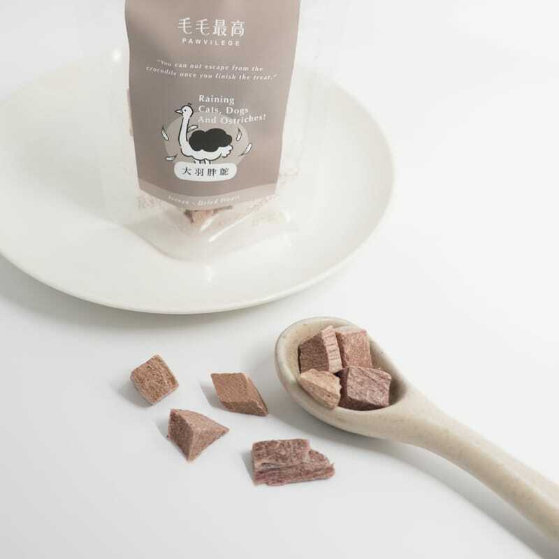 【PAWVILEGE毛毛最高】大羽胖鴕