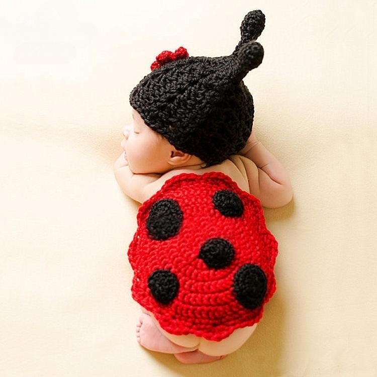 ladybug