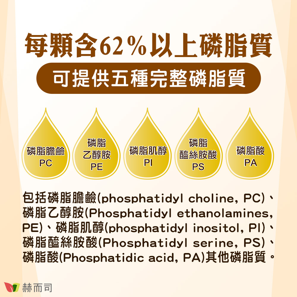 【赫而司】法國高濃縮大豆卵磷脂 每顆含62%以上磷脂質，可提供五種完整磷脂質！包括磷脂膽鹼(phosphatidyl choline, PC)、磷脂乙醇胺(Phosphatidyl ethanolamines, PE)、磷脂肌醇(phosphatidyl inositol, PI)、磷脂醯絲胺酸(Phosphatidyl serine, PS)、磷脂酸(Phosphatidic acid, PA)其他磷脂質。
