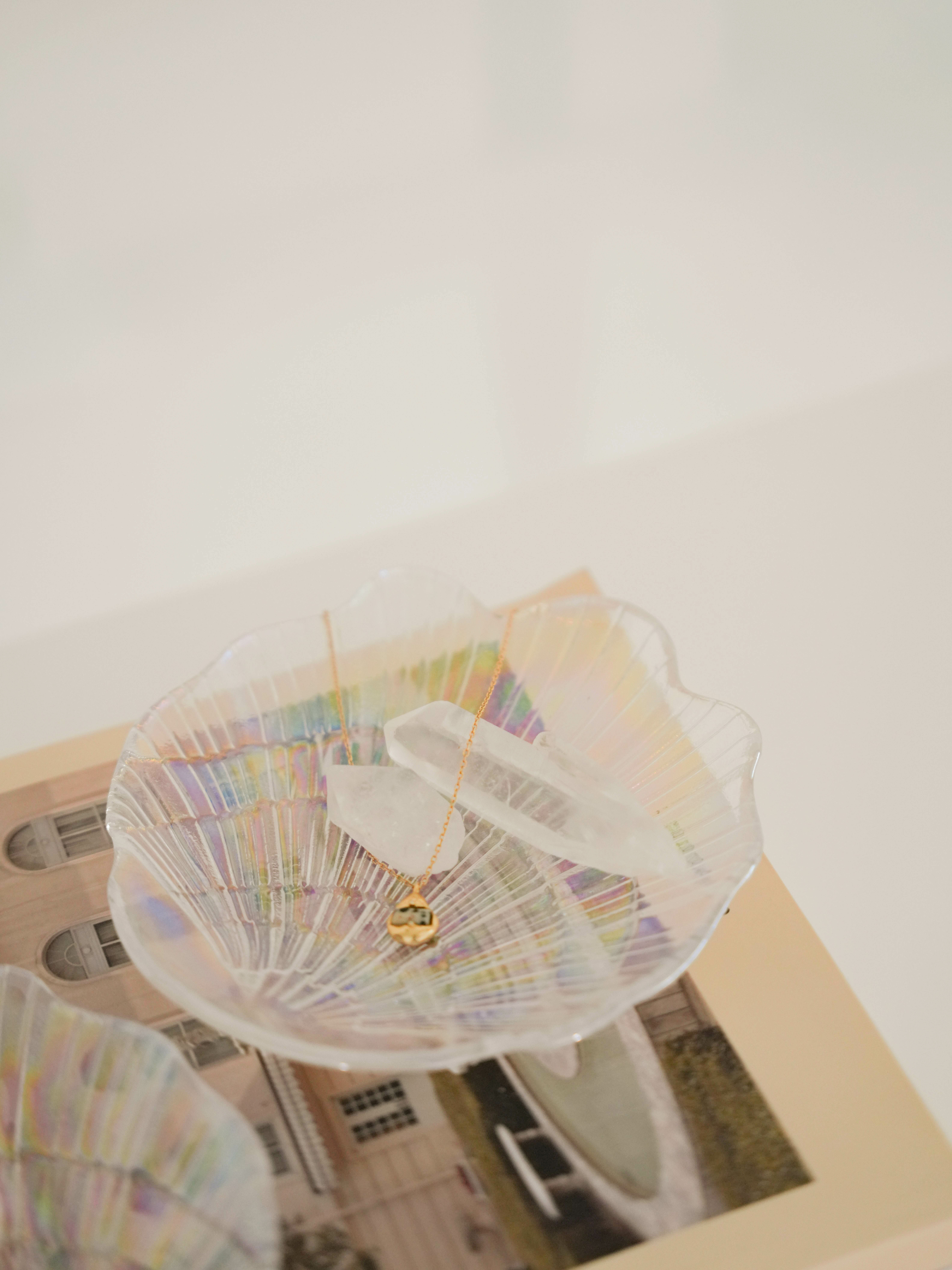 透明貝殼收納盤（一入/兩入）