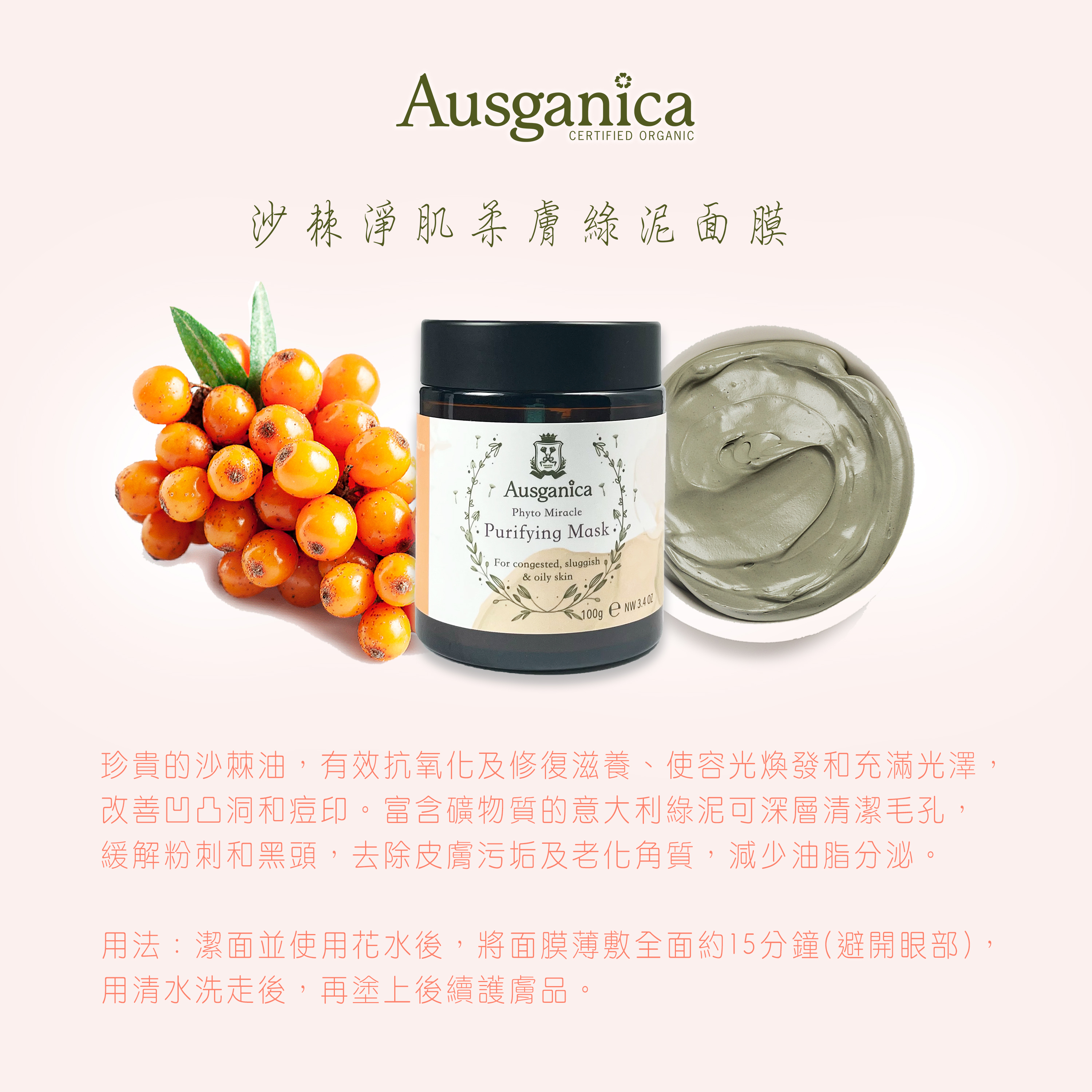 沙棘淨肌柔膚綠泥面膜