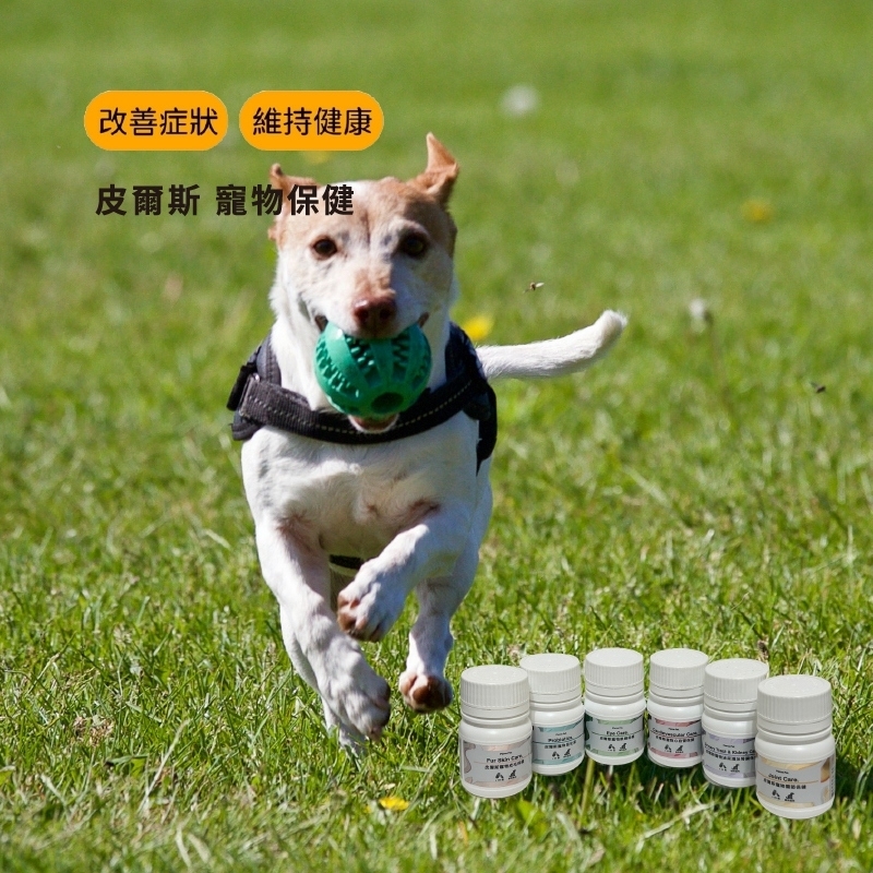 寵物,寵物保健,寵物保健品,日本專利益生菌,乳酸菌,LACRIS-S,英國專利半乳寡糖益生元,台灣專利後生元,SVF-261綜合蔬果酵素粉,益生菌後生元補充品,益生菌與益生質產品,皮爾斯寵物營養產品,台灣製造寵物益生菌,貓狗益生菌補充品,改善口臭的寵