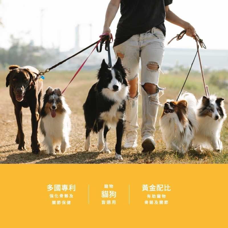 pierce pet, 皮爾斯, 寵物, 寵物保健, 寵物保健品, 關節健康, 軟骨, 三文魚, 羅望果, 薑黃