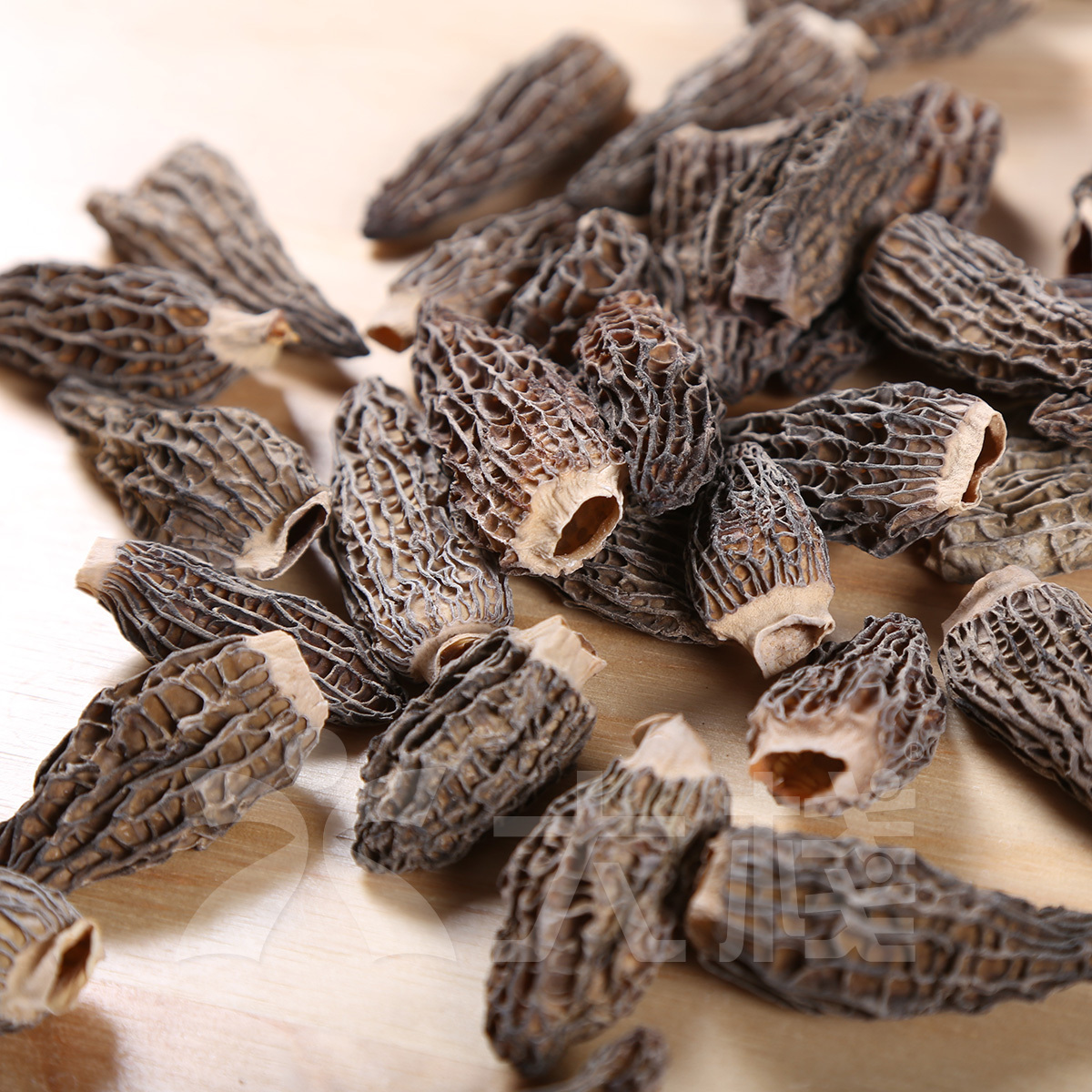 精選羊肚菌 (批發裝300克)