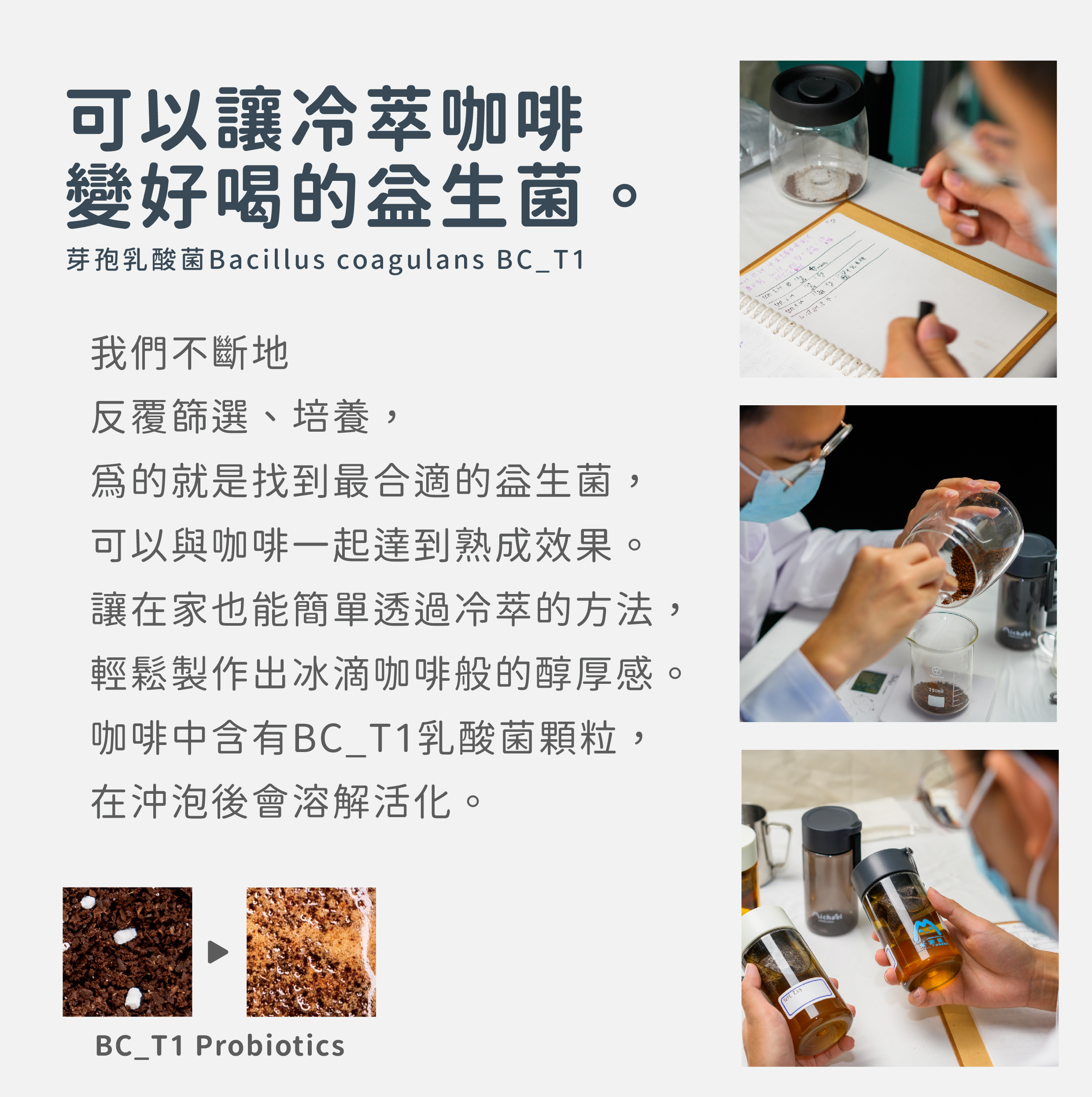 可以讓冷萃咖啡變好喝的益生菌。芽孢乳酸菌Bacillus coagulans BC_T1。我們不斷地反覆篩選培養，為的就是找到最合適的益生菌，可以與咖啡一起達到熟成效果。讓在家也能簡單透過冷萃的方法，輕鬆製作出冰滴咖啡般的醇厚感。咖啡中含有BC_T1