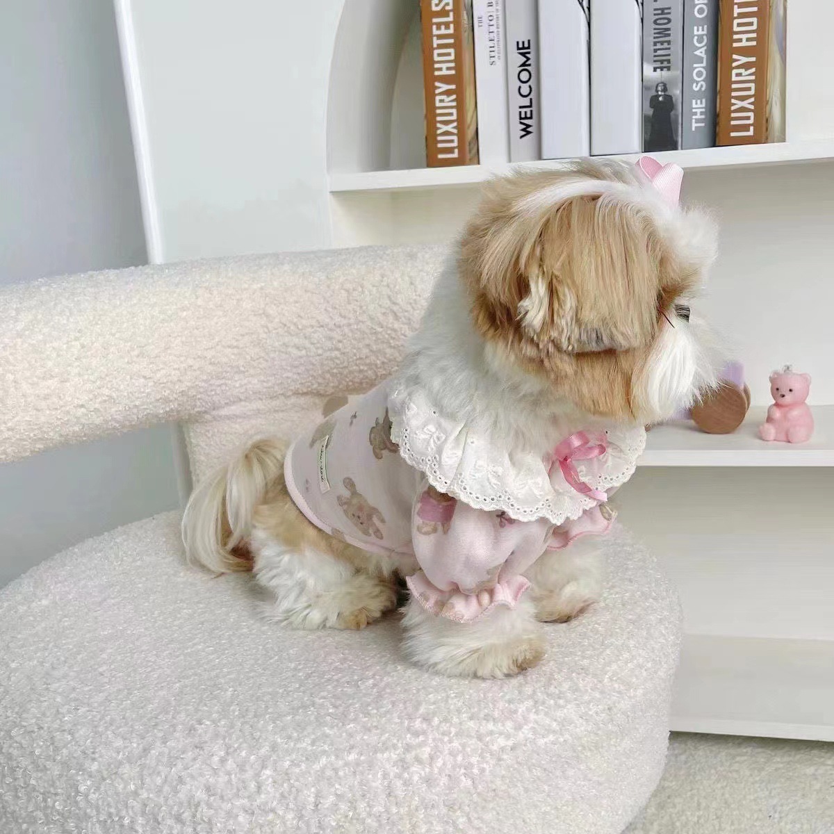 宠物衣服 公主领小熊泡泡裙