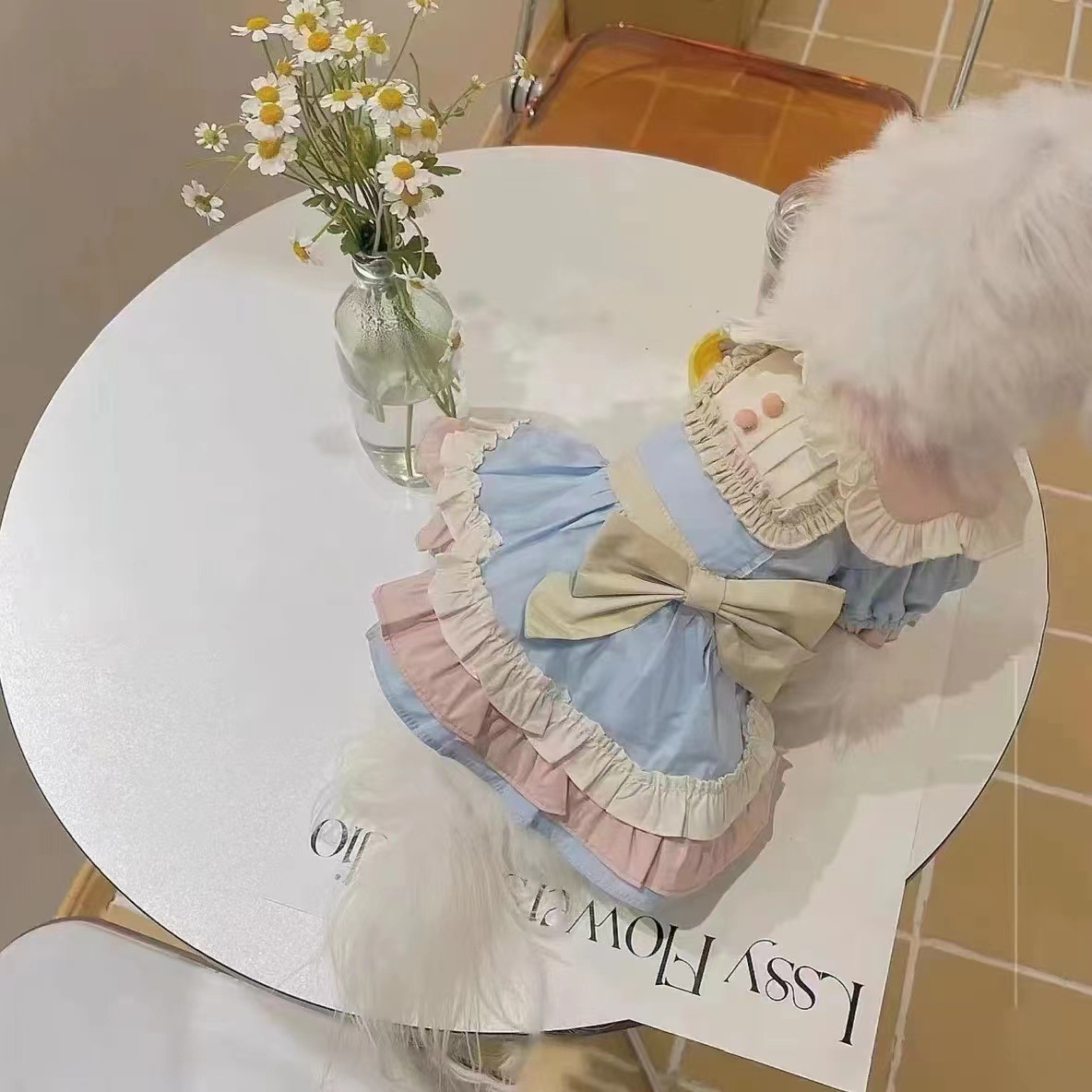 宠物衣服 春日游园裙子