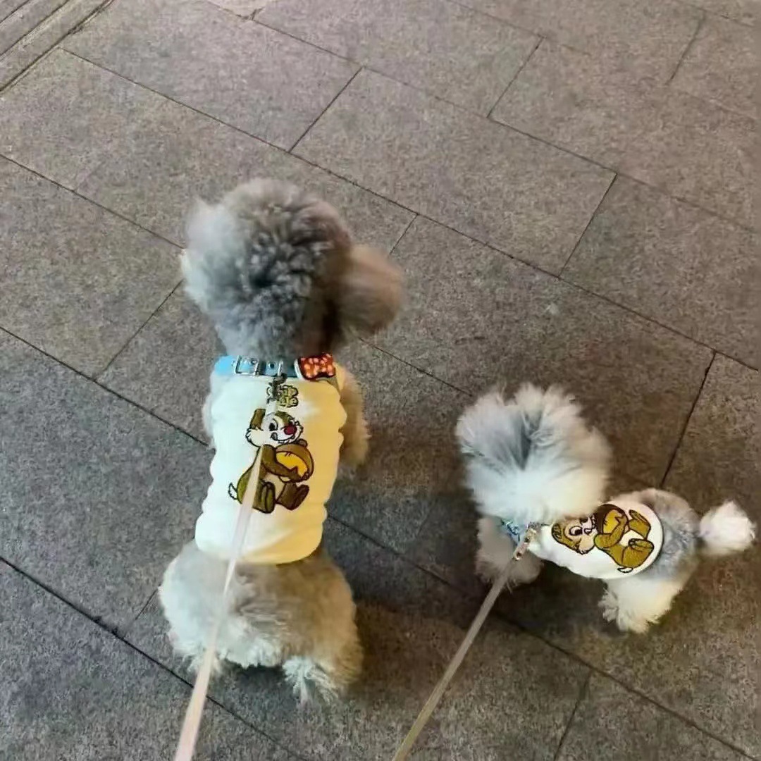 宠物衣服 松鼠背心