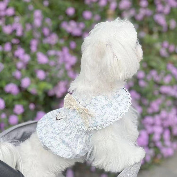 宠物衣服 竹叶裙 蓝色，绿色