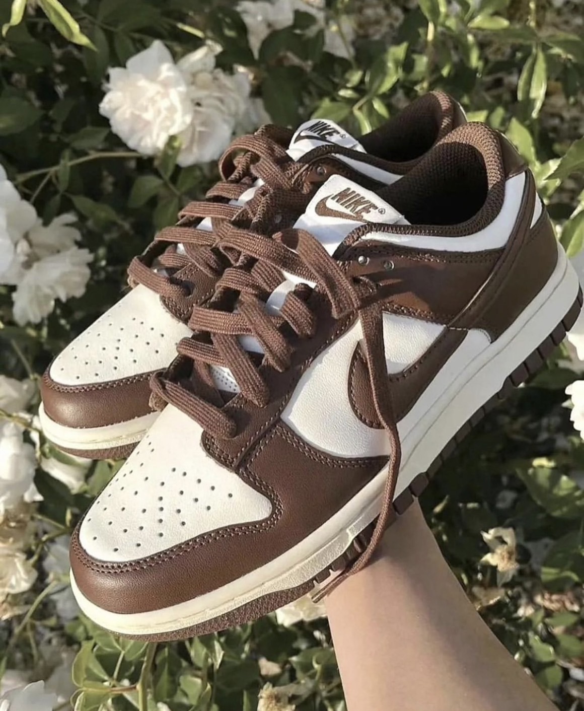 Nike Dunk Mocha 奶油可可 咖啡 摩卡 奶油 巧克力 棕色 DD1503-124/預購