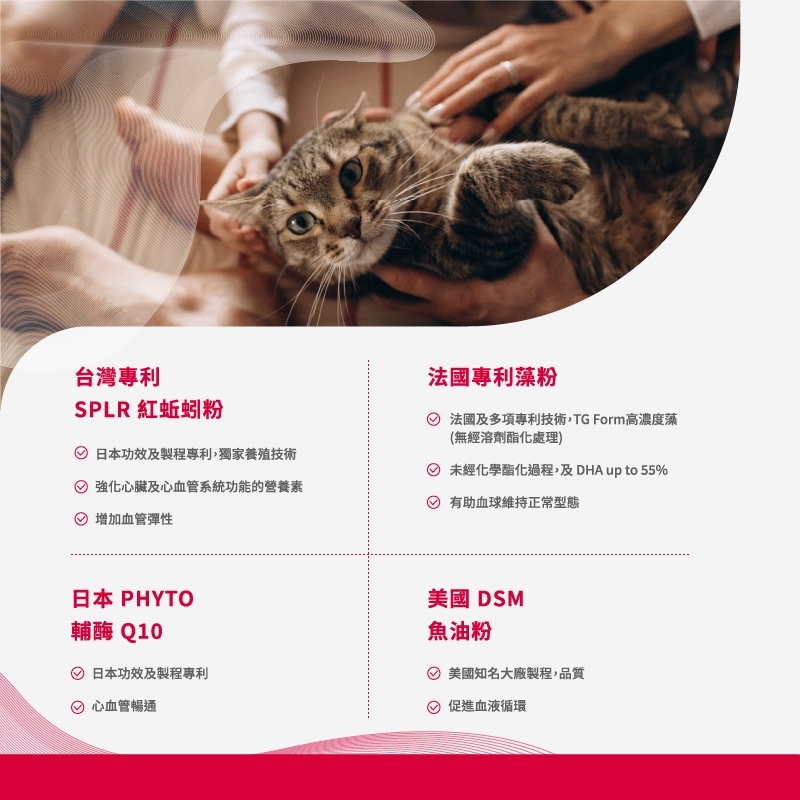 pierce pet, 皮爾斯, 寵物, 寵物保健, 寵物保健品, 酵母粉, 乳酸菌, 台灣, 免疫力, 光澤毛質, 貓, 狗, 寵物專利心血管保健,紅蚯蚓粉,輔酶Q10,魚油粉